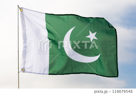 Pakistani flag flying beautifully in wind with gray sky behind 119079548