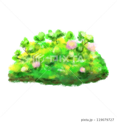 Bush with branches and flowers illustration, plant isolated Bush with branches and flowers illustration, plant isolated 119079727