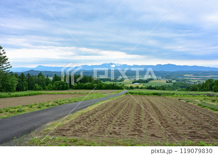 麓郷展望台 119079830