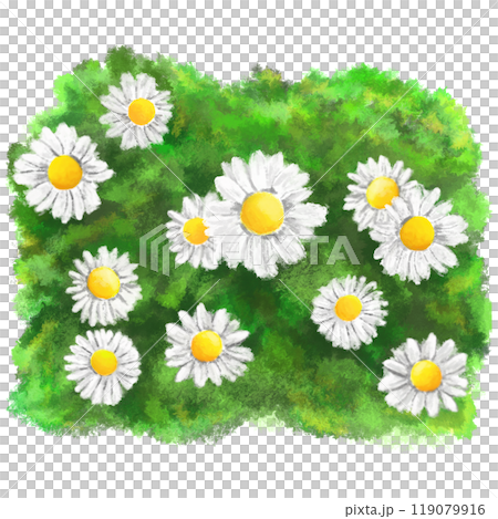 Daisy flowers on grass artistic illustration Daisy flowers on grass artistic illustration 119079916