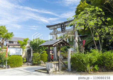 飛鳥坐神社　鳥居と飛鳥井 119080158