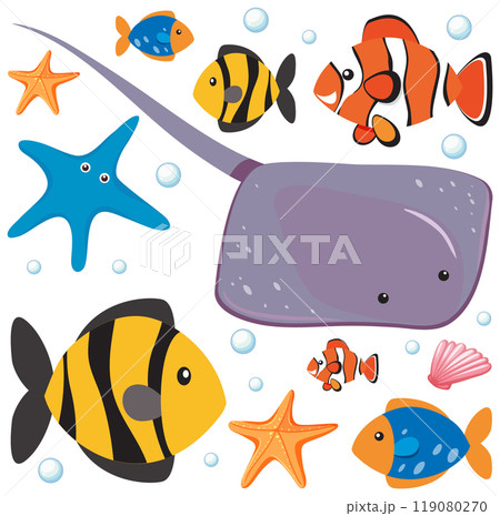 Colorful Underwater Marine Life 119080270