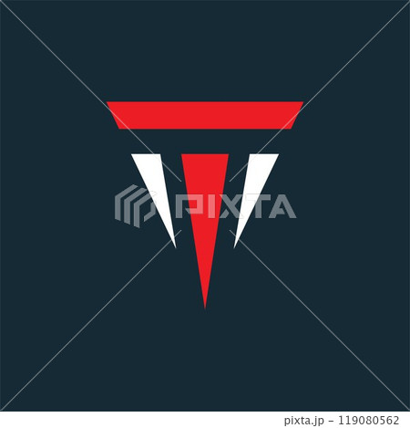 TM letter triangle logo icon vector concept design template 119080562