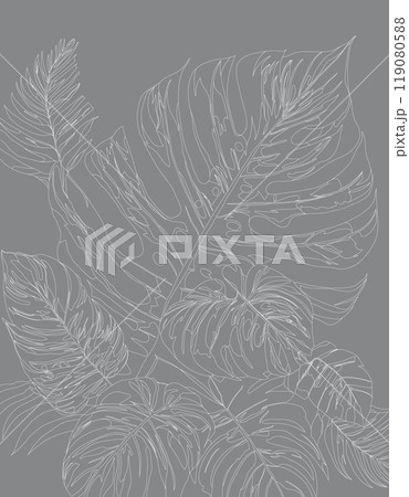 White lines of tropical leaves and monstera palm leaves pattern on gray background, flat line vector and illustration. White lines of tropical leaves and monstera palm leaves pattern on gray background, flat line vector and illustration. 119080588