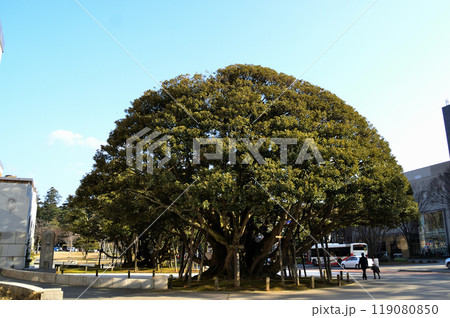 石川県金沢市の石川県政しいのき迎賓館 石川県金沢市の石川県政しいのき迎賓館 119080850