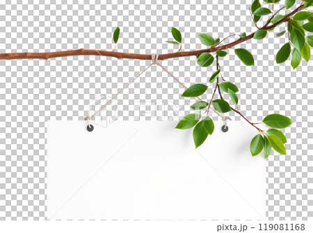 A white wooden sign hanging from a tree branch 119081168
