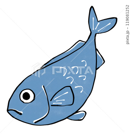 青い魚のイラスト 青い魚のイラスト 119081252