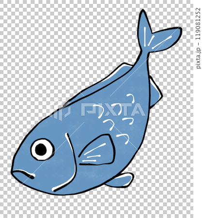 青い魚のイラスト 青い魚のイラスト 119081252