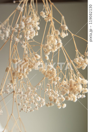 ドライフラワー カスミソウ かすみ草 スワッグ ドライフラワー カスミソウ かすみ草 スワッグ 119082130