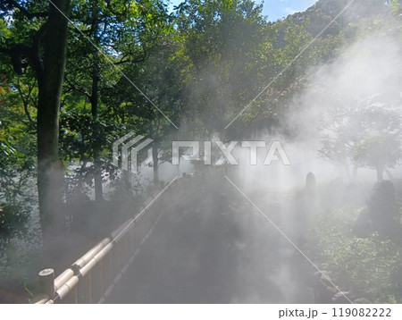 ホテル椿山荘東京の雲海中の小道 119082222