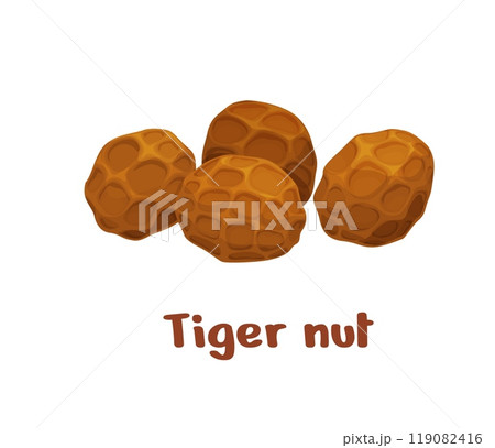 Uncommon tiger nuts or chufa, nutrient-rich tubers with a sweet, nutty flavor, used in snacks and beverages, high in fiber, healthy fats, and essential minerals, popular health food, natural nutrition Uncommon tiger nuts or chufa, nutrient-rich tubers with a sweet, nutty flavor, used in snacks and beverages, high in fiber, healthy fats, and essential minerals, popular health food, natural nutrition 119082416