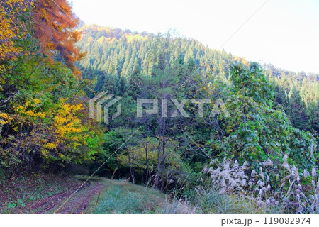 11月の夫神岳　　　信州の自然 119082974