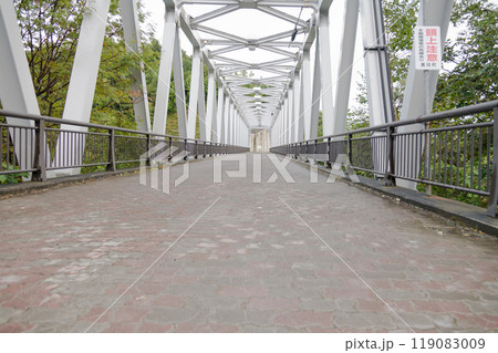 【美瑛町白ひげの滝近くのブルーリバー橋】 119083009