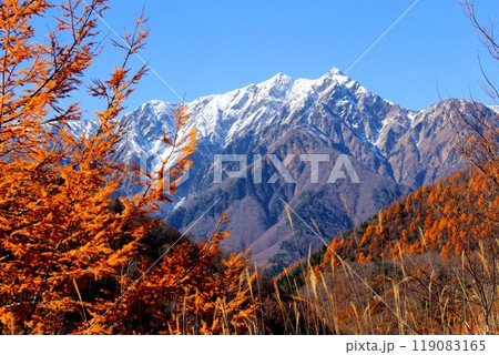 北アルプスと紅葉　　　信州の自然 119083165