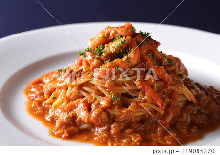 トマトソースを使ったパスタ 119083270