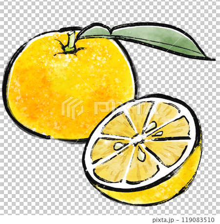 Ink-style Yuzu illustration 119083510