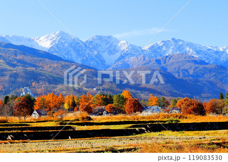 白馬村の北アルプスと紅葉 119083530