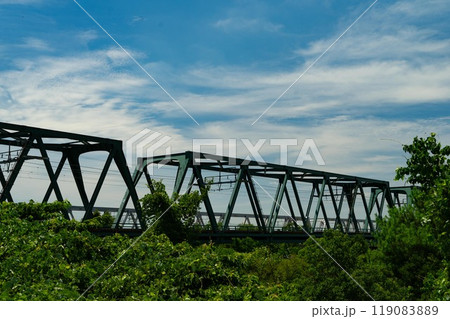 揖斐長良川大橋 119083889