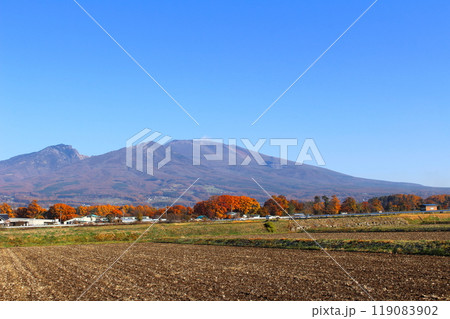 11月の浅間山　　　信州の山々　　　信州の自然 119083902