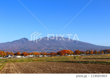 11月の浅間山　　　信州の山々　　　信州の自然 119083903