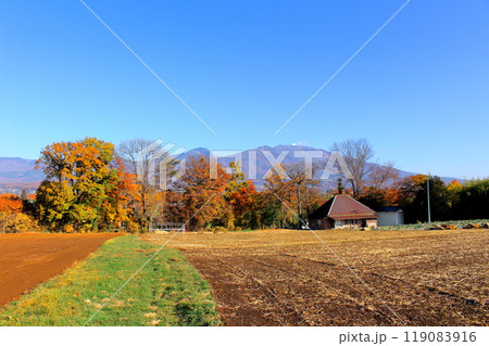 11月の浅間山　　　信州の山々　　　信州の自然 119083916