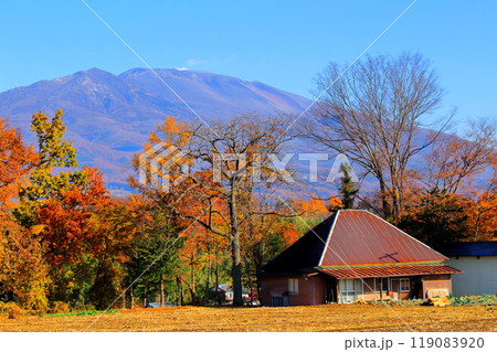 11月の浅間山　　　信州の山々　　　信州の自然 119083920