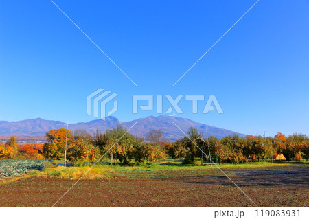 11月の浅間山　　　信州の山々　　　信州の自然 119083931