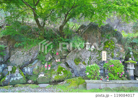 【西行水】 滋賀県米原市醒井 119084017