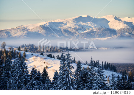 Breathtaking winter landscape featuring snow-capped mountains bathed in golden morning light. Snow-laden trees stand tall in foreground, while layers of mist gently veil valleys below. Breathtaking winter landscape featuring snow-capped mountains bathed in golden morning light. Snow-laden trees stand tall in foreground, while layers of mist gently veil valleys below. 119084039