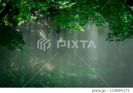 霧の風景 119084171