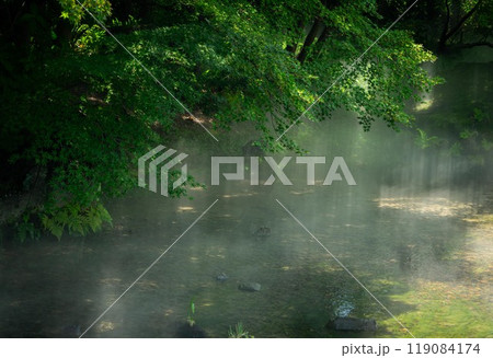 霧の風景 霧の風景 119084174