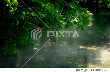 霧の風景 119084175