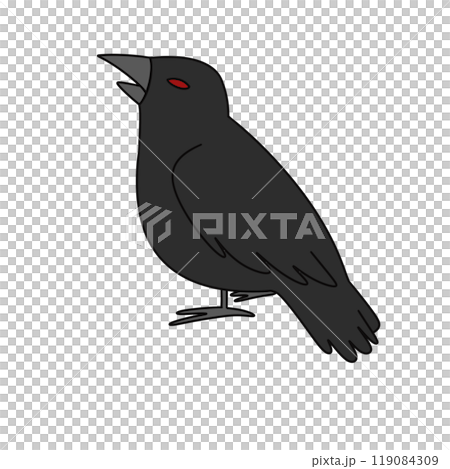 A black bird with red eyes is standing on a white background 119084309