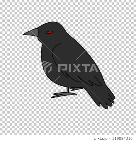 A black bird with red eyes sits on a white background 119084310