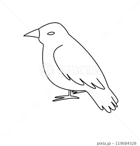 A bird is sitting on a white background 119084326