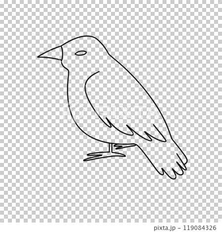 A bird is sitting on a white background 119084326