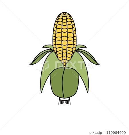 A cartoon drawing of a corn stalk with a green leaf 119084400
