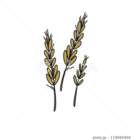 Three brown and yellow stems of wheat are drawn in a cartoon style Three brown and yellow stems of wheat are drawn in a cartoon style 119084404