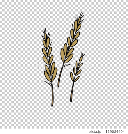 Three brown and yellow stems of wheat are drawn in a cartoon style Three brown and yellow stems of wheat are drawn in a cartoon style 119084404