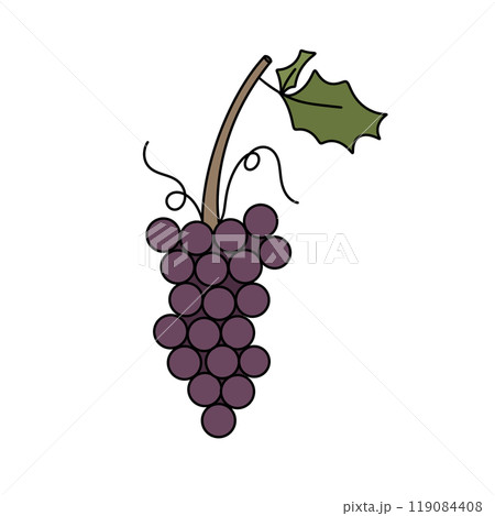 A close up of a purple grape with a green leaf on top 119084408