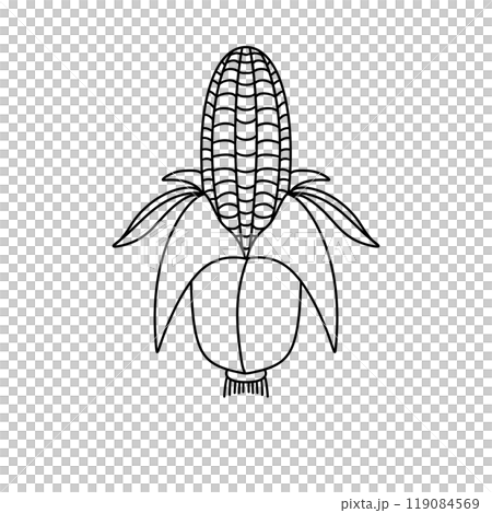 A corn stalk with a leafy green top 119084569