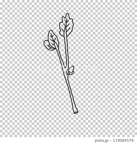 A leafy green plant with a stem that is bent at a 90 degree angle 119084579