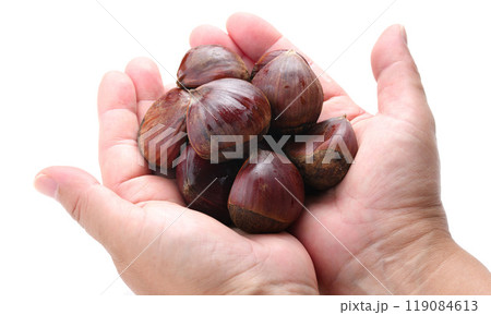 手のひらの栗 （ 栗を手で持つ ）白背景 119084613