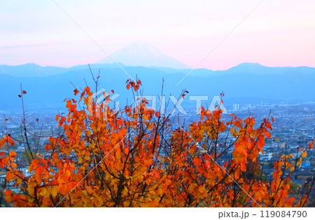 11月の甲府からの富士山 119084790