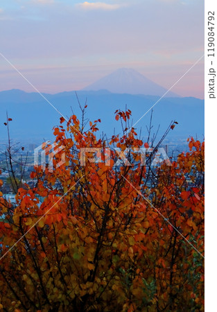 11月の甲府からの富士山 119084792