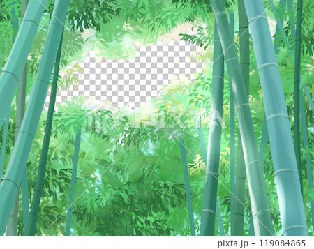 光の入る竹林 119084865