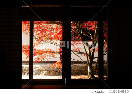 紅葉に染まるもみじがある庭園 紅葉に染まるもみじがある庭園 119084950