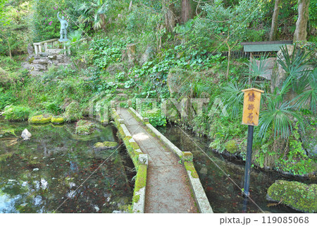 【居醒の清水】 滋賀県米原市醒井 【居醒の清水】 滋賀県米原市醒井 119085068