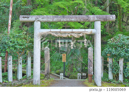 【居醒の清水】 滋賀県米原市醒井 119085069