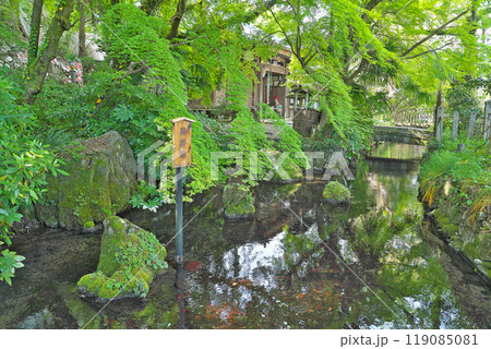 【居醒の清水】 滋賀県米原市醒井 119085081